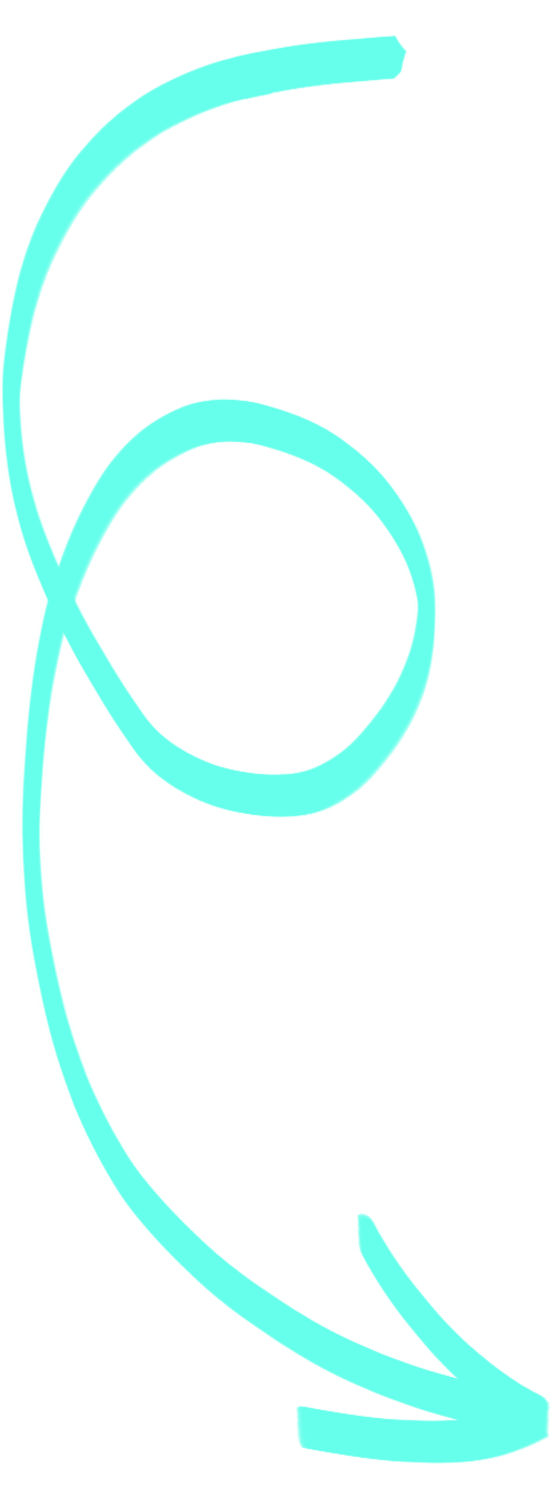 vector